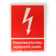 SPAMEL Przycisk przeciwpożarowy natynkowy ROP z diodami IP65 PWP1-W01-A-11-2LED7